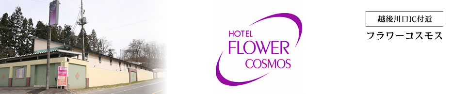 HOTEL FLOWER COSMOS